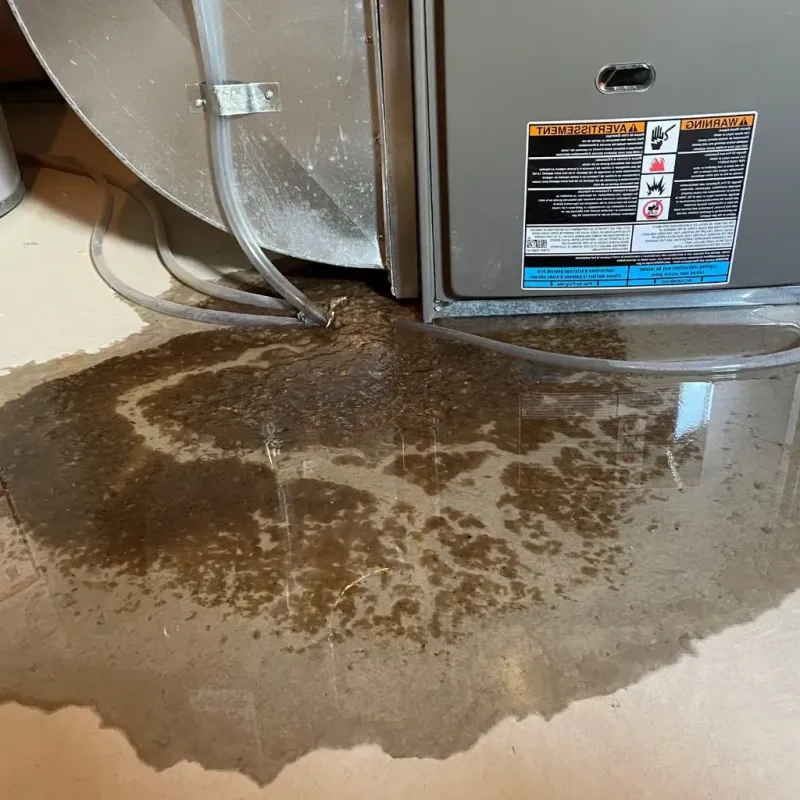Pipe Burst and Leak Restoration in Seneca County, OH