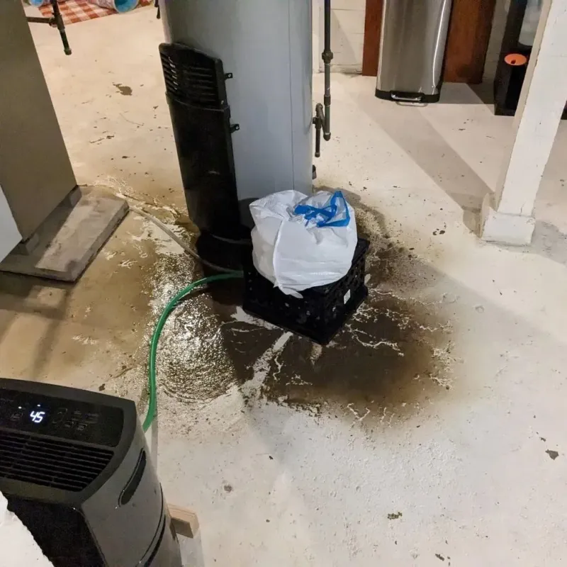 Sewage Backup Cleanup Service in Seneca County, OH